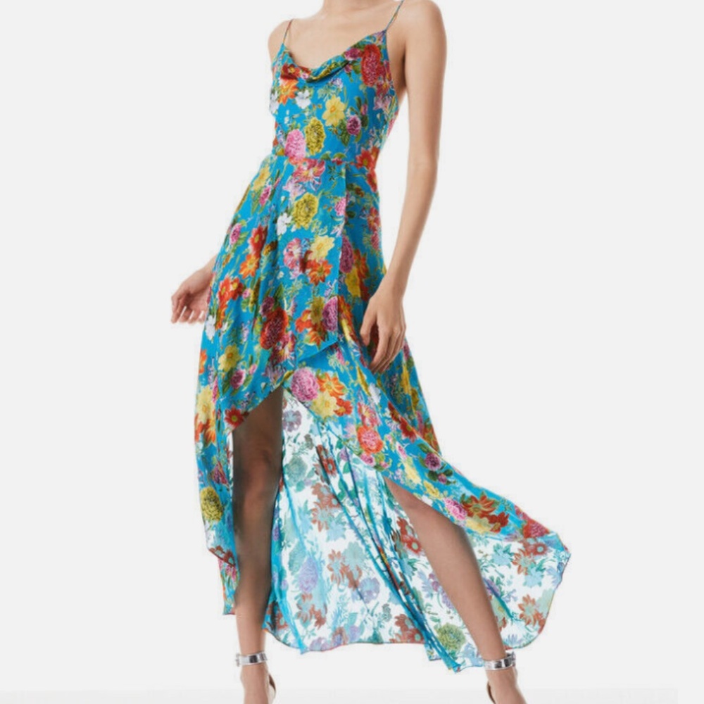 Alice and Olivia Christina Floral Printed Midi Hi-Lo Dress Summer Bliss